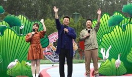 南宁美宅爆料最新消息视频,揭秘网红豪宅背后的故事